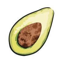 fresh avocado healthy vegetable icon vector