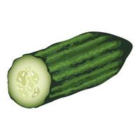 fresh cucumber healthy vegetable icon vector