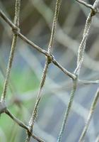 Soccer goal net photo