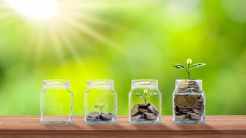 plantar árboles en botellas transparentes para ahorrar dinero en una mesa de madera y fondo verde borroso ideas de crecimiento empresarial