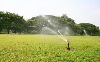 Sprinkler in grass photo