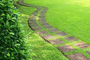 Walkway in green grass photo