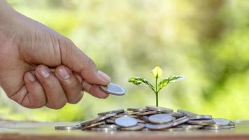 Entrega de monedas a árboles cultivados en monedas, inversiones y conceptos financieros.