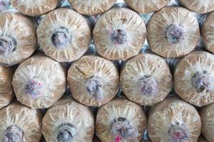 Stacked mushroom bags photo