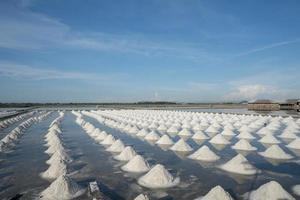 granja de sal durante el día foto