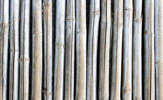 textura de bambú seco viejo foto