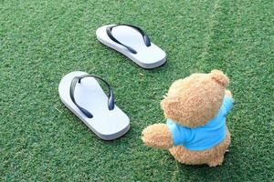 Bear and sandals photo
