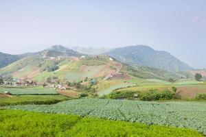 Farm in the mountains photo