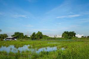 Condos and meadows photo