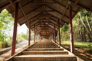escaleras en el bosque foto