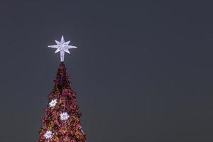 iluminación del árbol de navidad foto