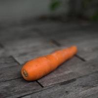 zanahoria sobre fondo de madera foto