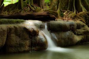 Waterfall in nature photo