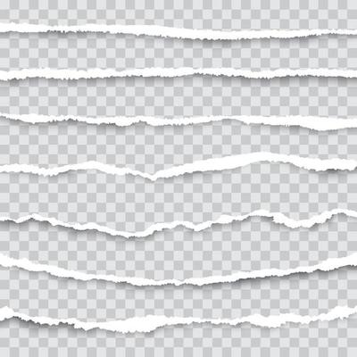 A set of torn pieces of paper isolated. Used as a background and adding text for all design.