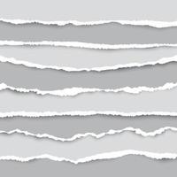 A set of torn pieces of paper in many size. Used as a background and adding text for all design. vector