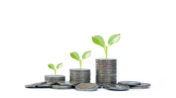 Pila de monedas y crecimiento de plantas de hoja verde en monedas sobre un fondo blanco, concepto de ahorro de dinero, negocio de finanzas bancarias