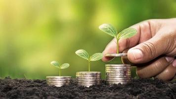 Human hands holding money and trees growing on money investment financial growth concept