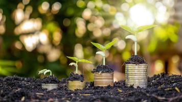 un montón de monedas con plantas verdes depende del concepto de éxito empresarial y financiero o crecimiento del dinero foto