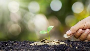 Planting trees on a pile of money in the ground and blurred green nature background, financial and investment ideas for business growth photo