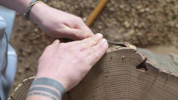 rimuovere la corteccia da un ceppo di legno usando uno scalpello video