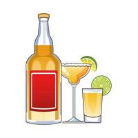 tequila bottle and cocktails mexican drink vector