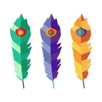 conjunto de tres plumas planas de colores vector