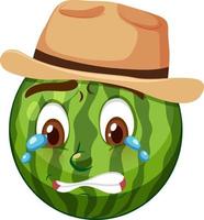 Watermelon cartoon character with facial expression vector