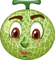 Cantaloupe melon cartoon character with facial expression vector