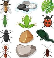 diferentes tipos de insectos con elementos de la naturaleza. vector