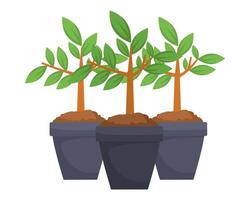 trees plants in pots nature icons vector