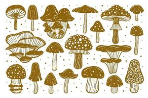 Big set of forest mushrooms. Ink vector illustration. Linocut print. Golden monochrome design. Botanic, nature.