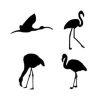 Collection of flamingo animal silhouettes vector illustration