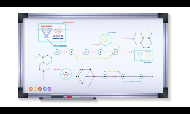 Scientific Infographics on Magnetic Board with Metal Frame