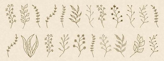 Hand Drawn Floral Decorative Elements set vector