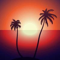 Tropical sunset with palms vector