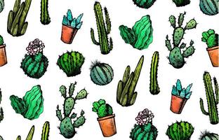 Hand Drawn Isolated Cactuses Seamless Pattern vector