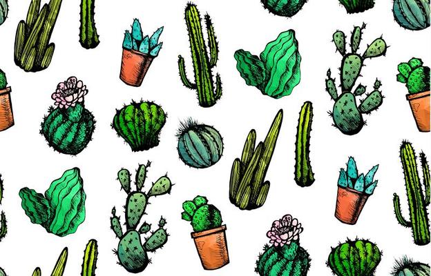 Hand Drawn Isolated Cactuses Seamless Pattern
