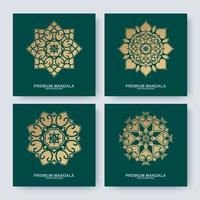 Set of golden mandala collections vector