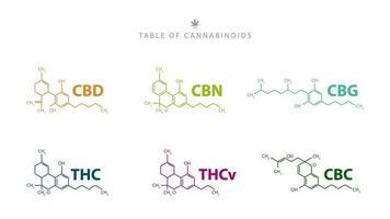 tabla de cannabinoides. Fórmulas químicas de cannabinoides naturales aisladas sobre fondo blanco. vector