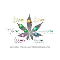 Chemical formulas of natural cannabinoids. Leaf of cannabis with 3D molecules and infographic of chemical formulas of cannabinoids