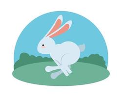 little easter rabbit jumping in the field vector