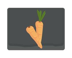 carrots on wooden kitchen board vector