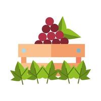 fresh grapes in wooden basket vector