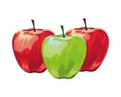 manzanas, frutas frescas, aislado, iconos vector