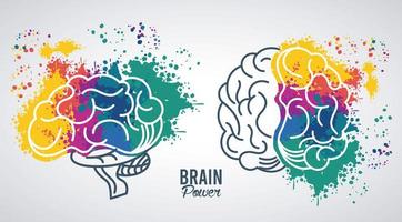 brains power templates with colors splash vector