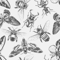 Vector Insects Seamless Pattern