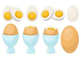 Boiled egg in egg holder vector design illustration set isolated on white background