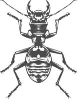 Vector Engraving Insect
