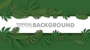 Frame made of fresh green tropical leaves on white background. Space for design or text. vector