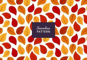 Autumn leaf seamless pattern design, beautiful autumn leaf background vector